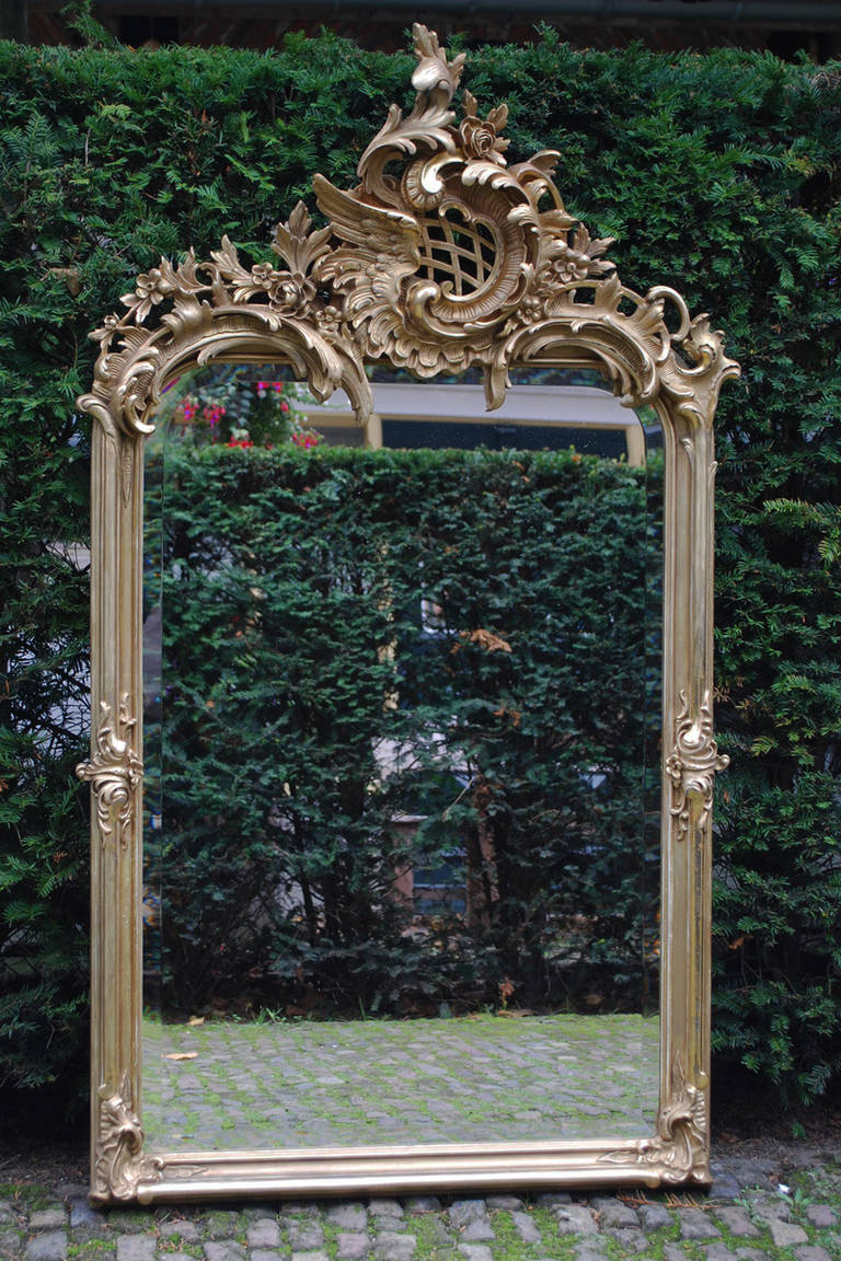 This beautiful antique French mirror rococo mirror has a highly detailed and abundant crown. The crown depicts classical ornaments such as acanthus, flowers, leaves and a cherubs wing. The mirror frame is partially gold leaf gilt, gold paint gilt.