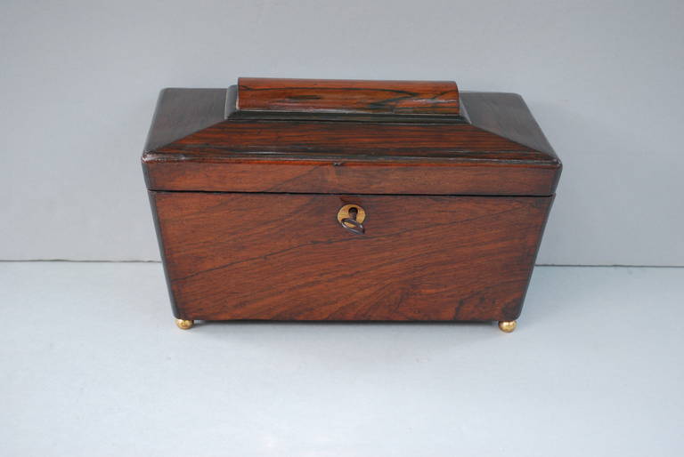19th Century English Tea Caddy In Good Condition In Casteren, NL