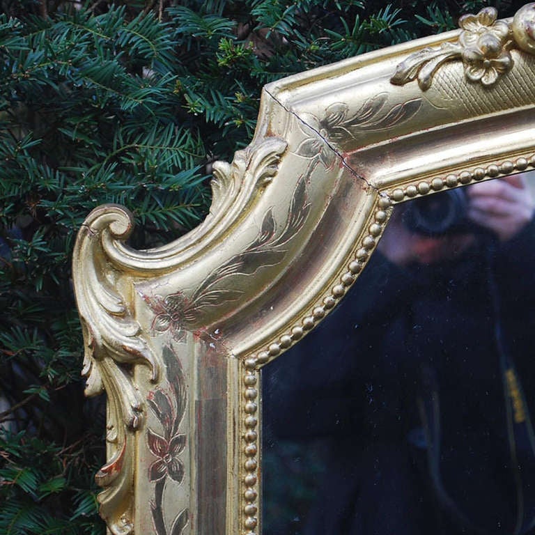 gold gilded mirrors