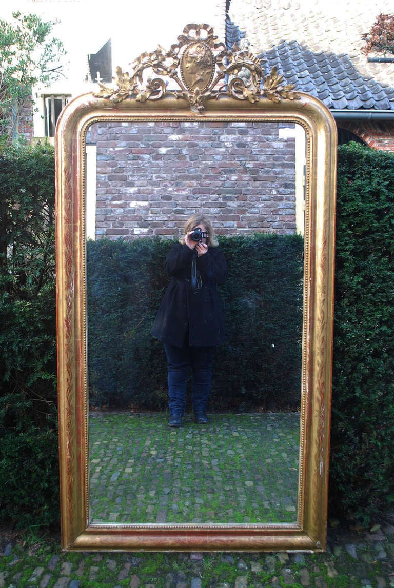Large 19th Century Gold Gilded Mirror