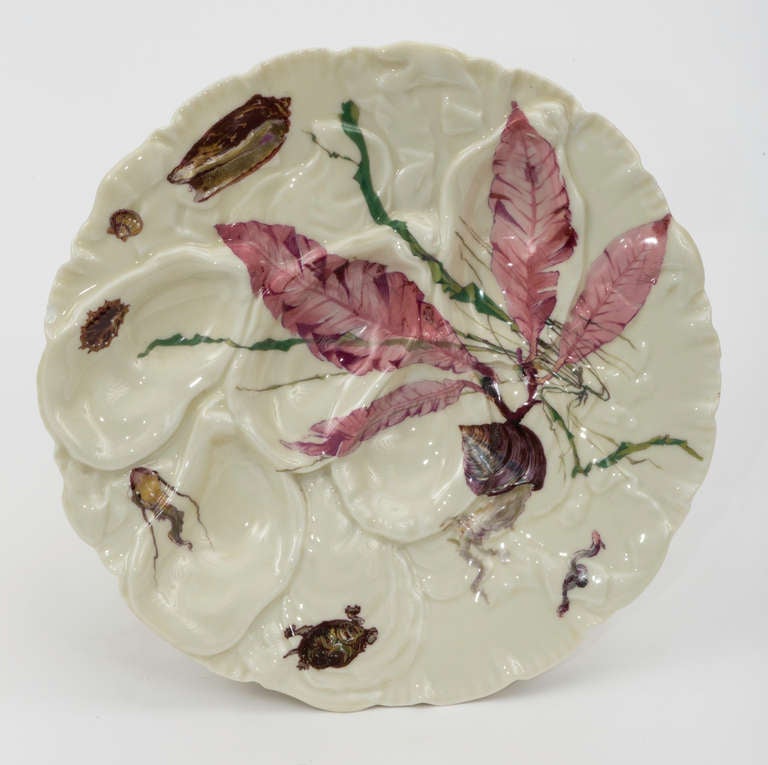 Circa 1860 French Limoge Oyster Plates 2
