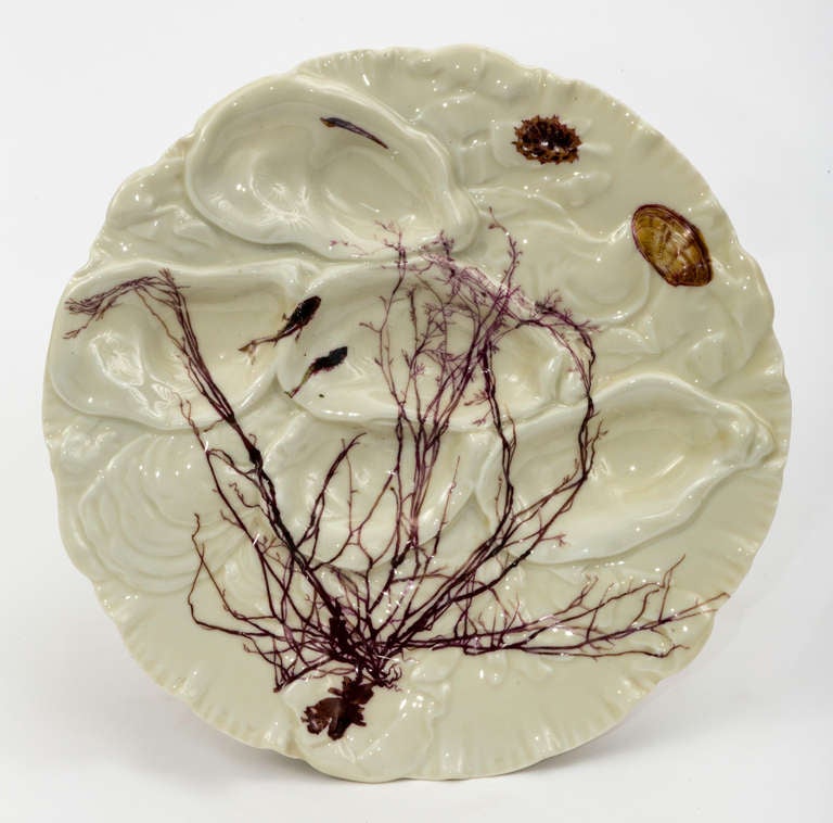 Circa 1860 French Limoge Oyster Plates 3