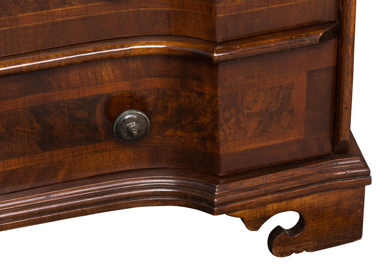 Italian Walnut Burl Chest of Drawers 2