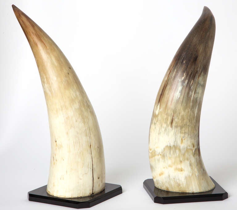 1930s Pair of Bull Horns on Lucite Stands In Excellent Condition In Summerland, CA