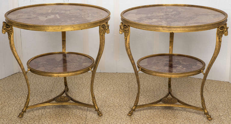 Fabulous Pair of Bronze and Marble Top Round Tables