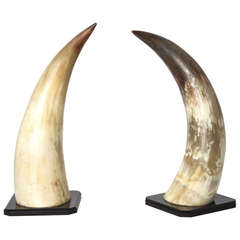 Vintage 1930s Pair of Bull Horns on Lucite Stands