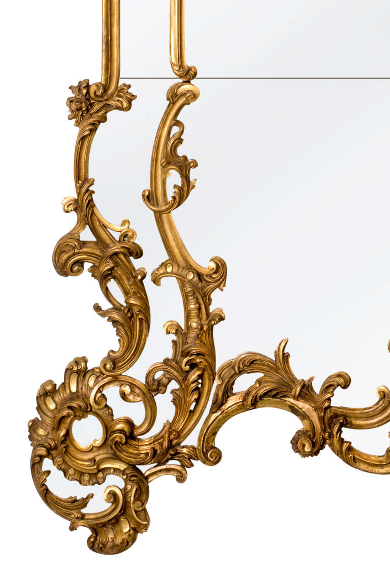 19c. Grand Scale Massive Italian Gilt Mirror For Sale 1