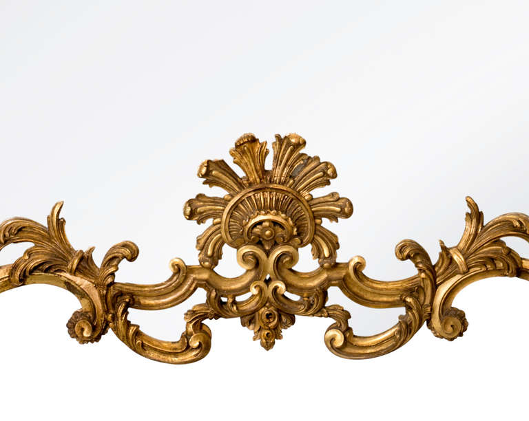 19c. Grand Scale Massive Italian Gilt Mirror For Sale 2