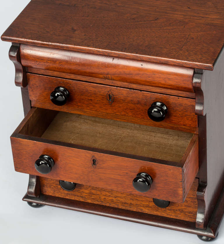 19 Century Chest Sampler or Jewelry Box at 1stdibs