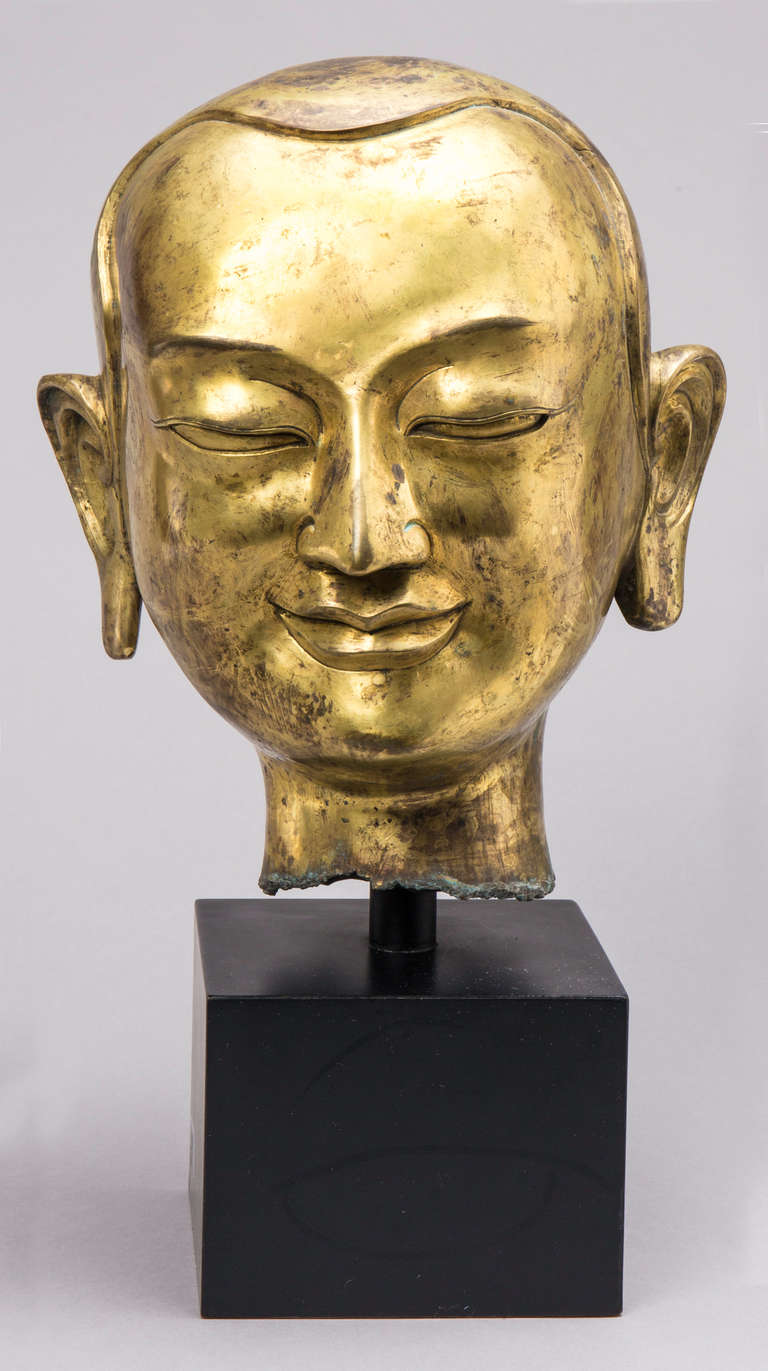 Beautiful head of bronze Lama on wood stand. Gilt over bronze.