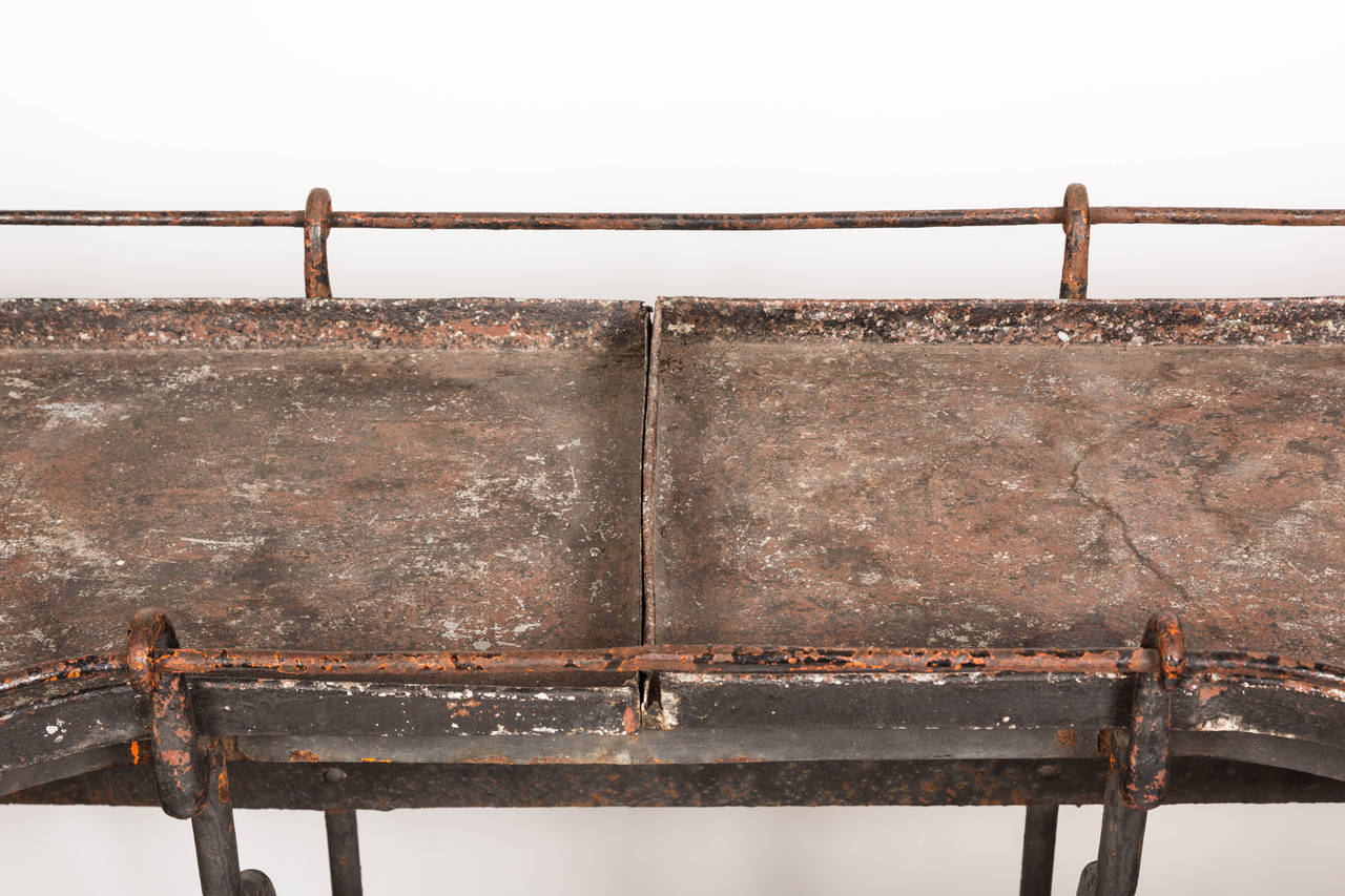 Mid-19th Century Rare, 1860s Victorian Iron Orchid Table For Sale