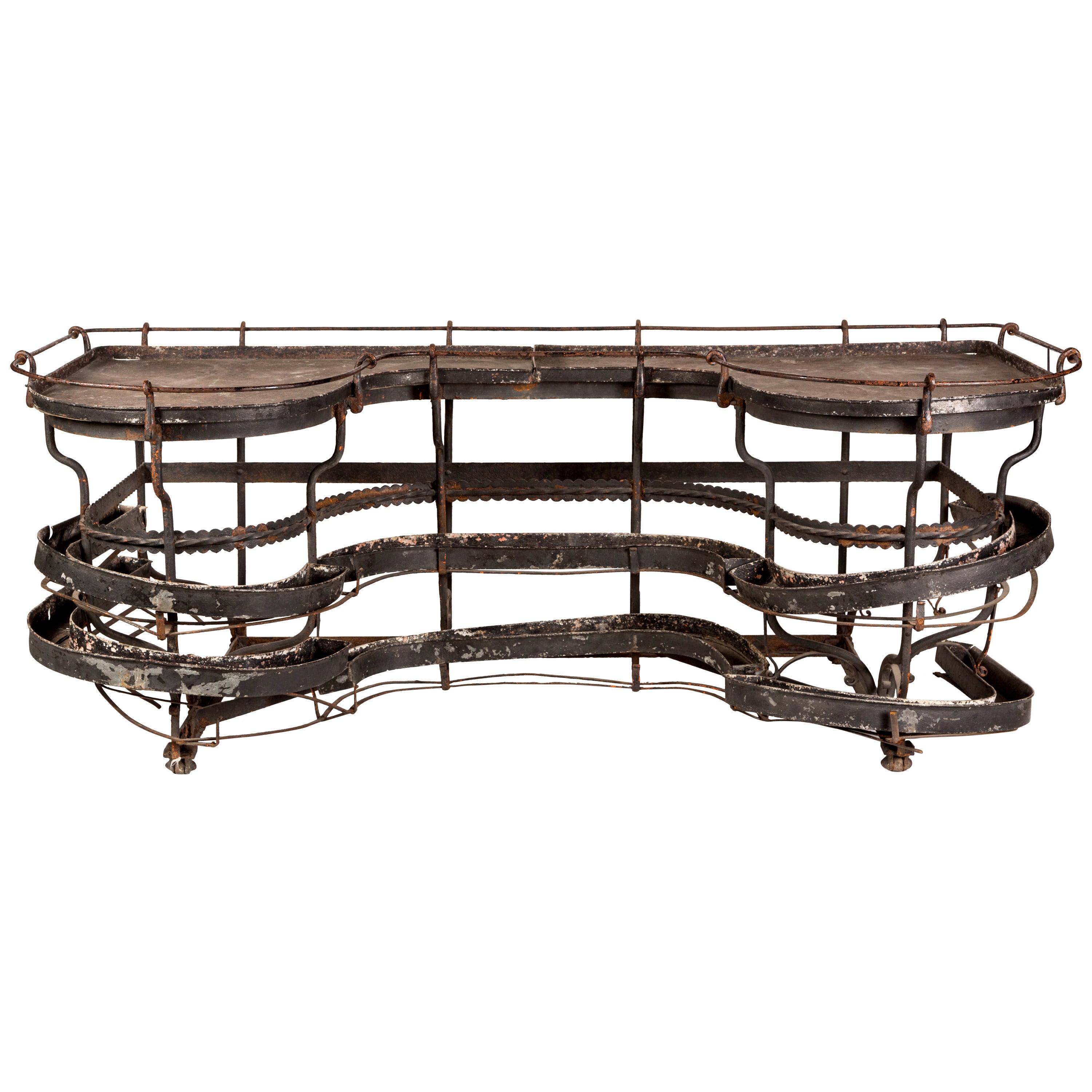 Rare, 1860s Victorian Iron Orchid Table For Sale