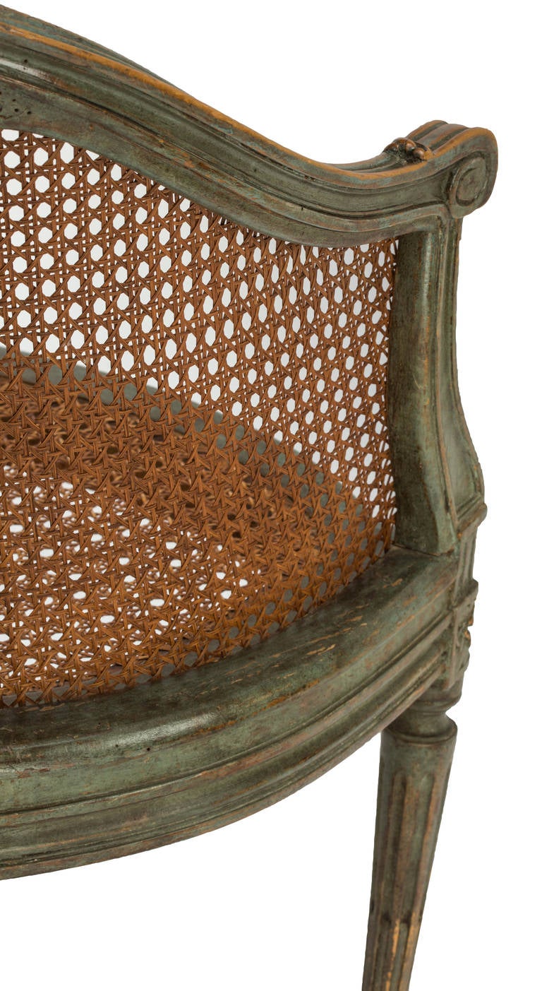 Louix XVI Style Cane Chair 4