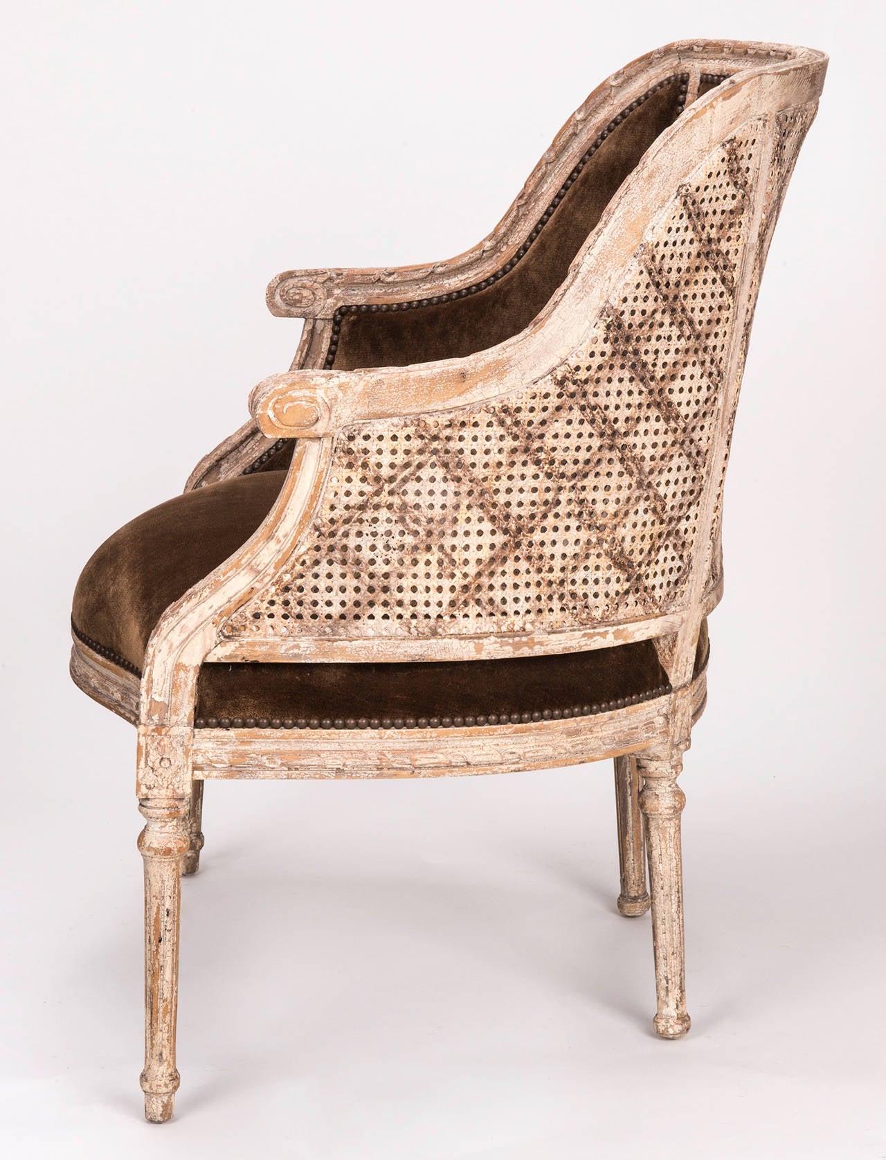 French Cane Back Barrel Chair At 1stdibs French Cane Back Barrel Chair In Excellent Condition For Summerland Ca