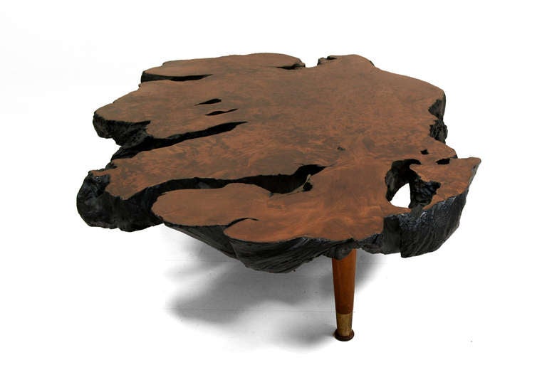 Free Form Solid Burl Wood Coffee Table
