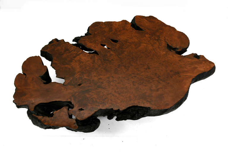 Free Form Solid Burl Wood Coffee Table In Excellent Condition In Chula Vista, CA
