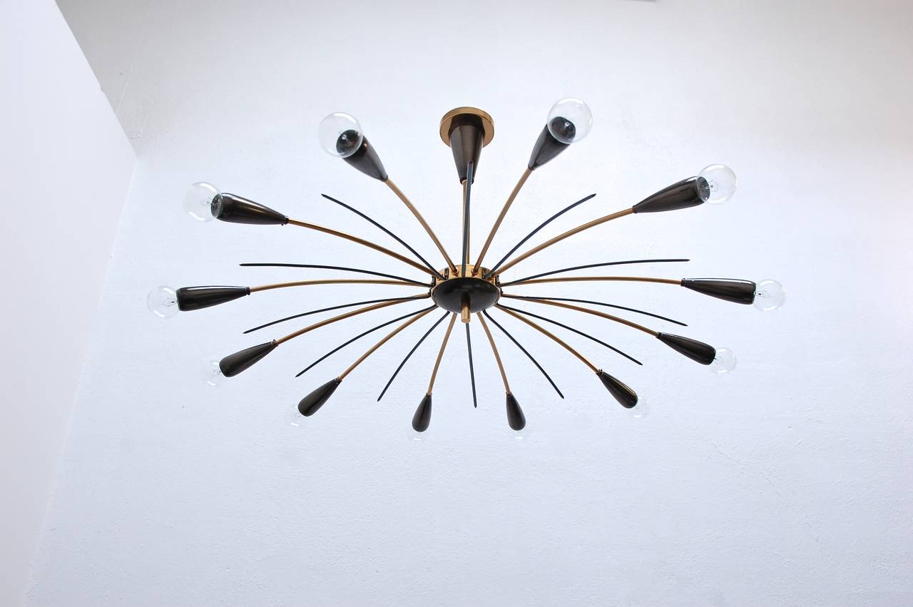 1950s Organic Flush Mount Chandelier