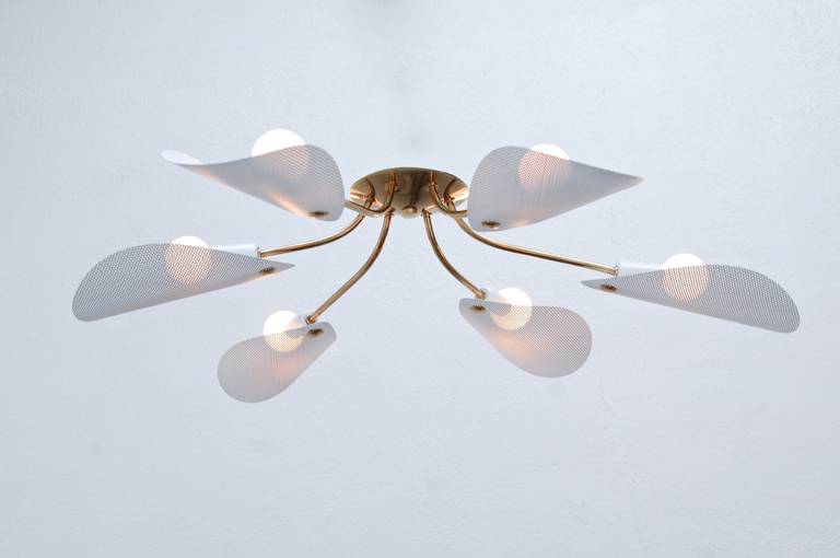 Perforated Petal Flush Mount from France