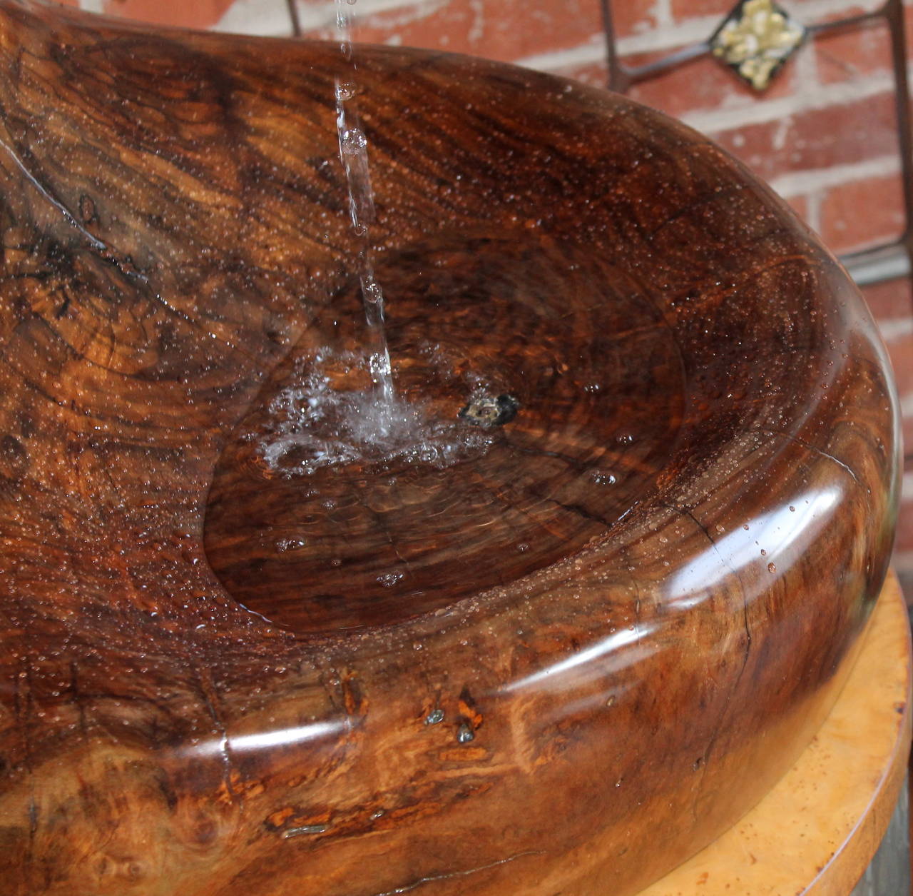 Burl Sculptural Cocobolo Tropical Wood Fountain by Don Shoemaker, Mexico, circa 1970 For Sale