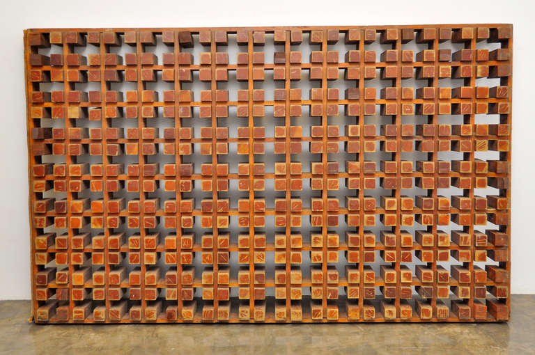 1950s Mexican Mid-Century Modern Architectural Screen Panels For Sale 3