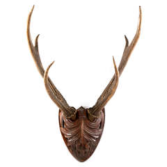 Large Pair of Black Forest Roe Deer Antlers Mounted on Carved Plaque