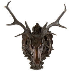 Antique Large Black Forest Stag Head in Carved Lindenwood