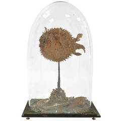 Bell Glass with a Blowfish at Interior
