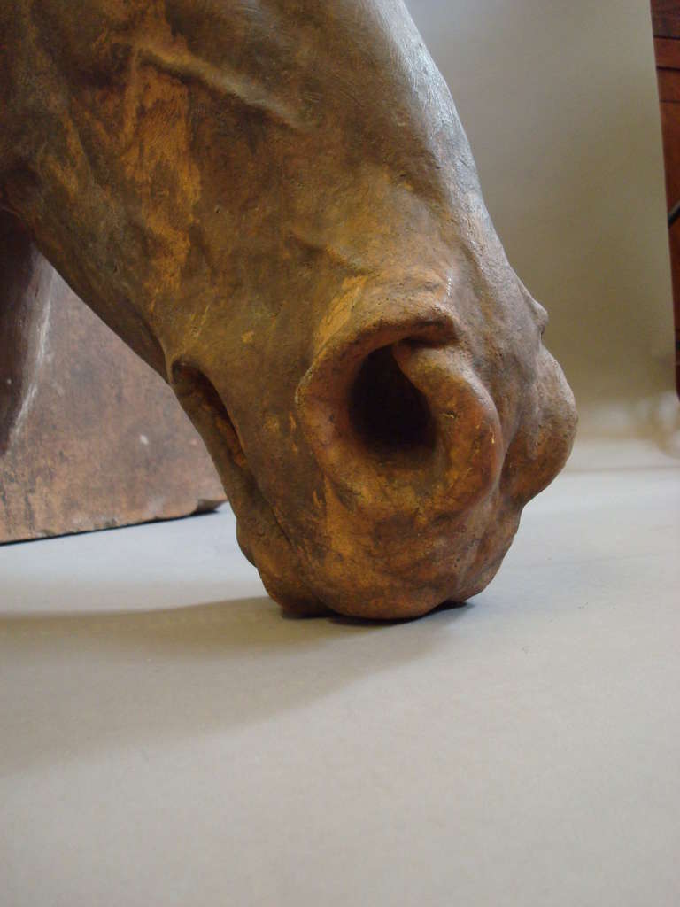 An impressive C19th terracotta life size horses head; naturistically sculptured showing his ears pricked forward, flowing mane and raised veins; on a terracotta block for mounting.  

By repute from a racing stables in Berkshire, England.