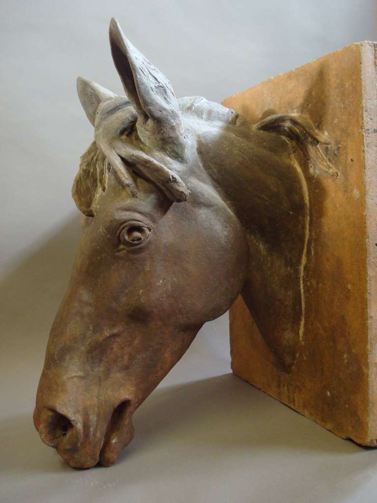 English An Impressive C19th Terracotta Life Size Horses Head For Sale