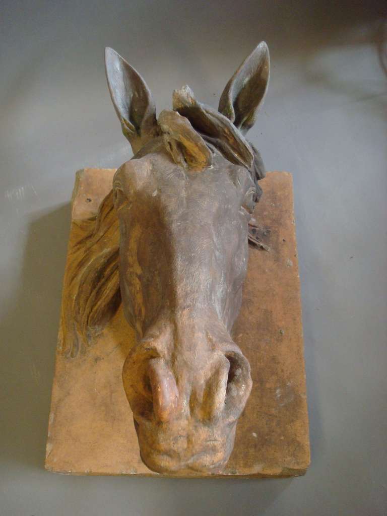 19th Century An Impressive C19th Terracotta Life Size Horses Head For Sale