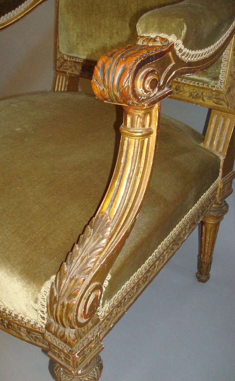 Impressive 19th Century Pair of Carved Giltwood Fauteuils or Open Armchairs 3