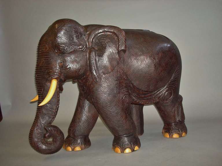 An impressive early C20th carved hardwood Indian elephant, of large proportions, naturistically carved in a strolling stance; the tusks and toenails unusually carved out of boxwood (not ivory so no CITES required).