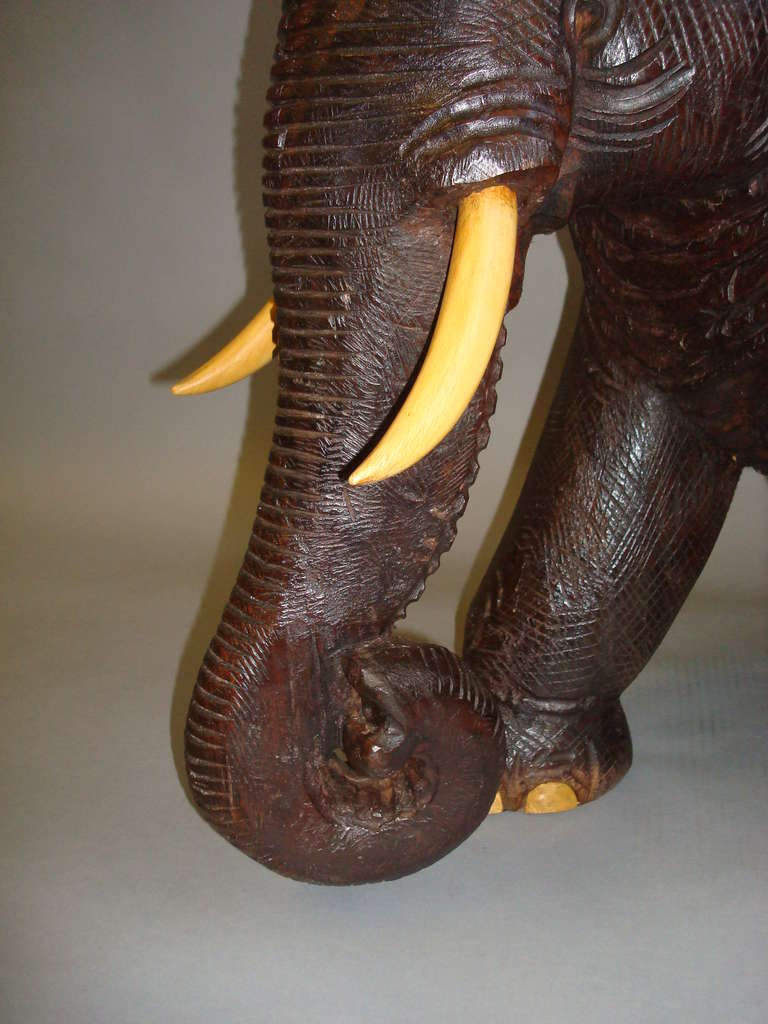 Impressive Early C20th Carved Hardwood Indian Elephant (Wooden Tusks/Toes) 2