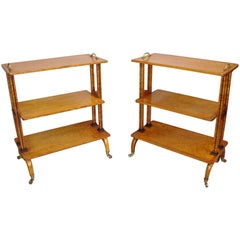 Splendid Regency Matched Pair of Maple Etageres