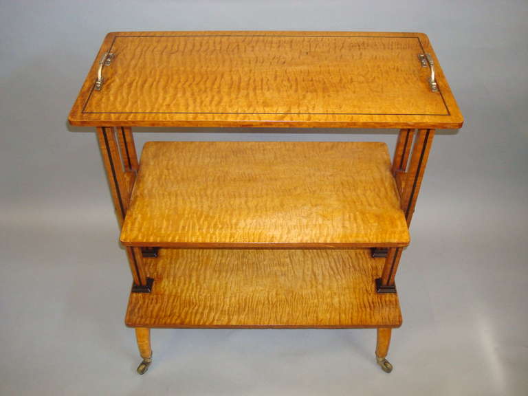Splendid Regency Matched Pair of Maple Etageres In Excellent Condition For Sale In Moreton-in-Marsh, Gloucestershire