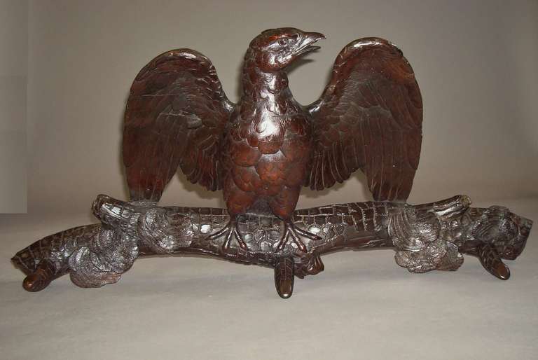 An unusual C19th carved Black Forest eagle hat / coat rack; the finely carved spread winged eagle perched on a naturalistically carved branch with three carved hooks. The reverse with brass wire and rings for hanging.