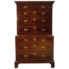 Rare Georgian Burr Yew Tallboy of Diminutive Proportions 9