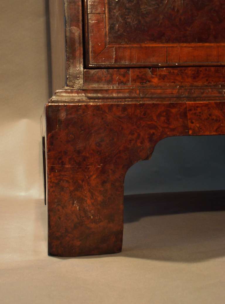 A rare small Georgian burr (burl) yew wood tallboy of diminutive proportions. The stepped, cross grained cornice with ogee mould, above two short and three long cockbeaded drawers, crossbanded in straight grained yew and holly inlaid stringing, with
