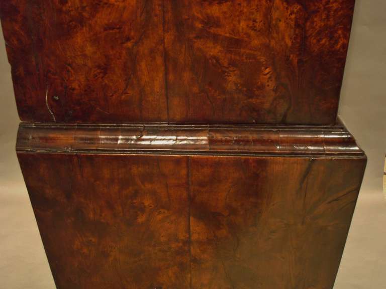 Rare Georgian Burr Yew Tallboy of Diminutive Proportions For Sale 4