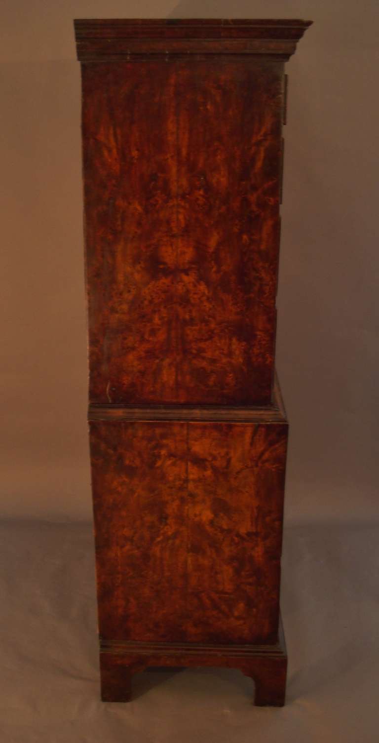 Rare Georgian Burr Yew Tallboy of Diminutive Proportions For Sale 5
