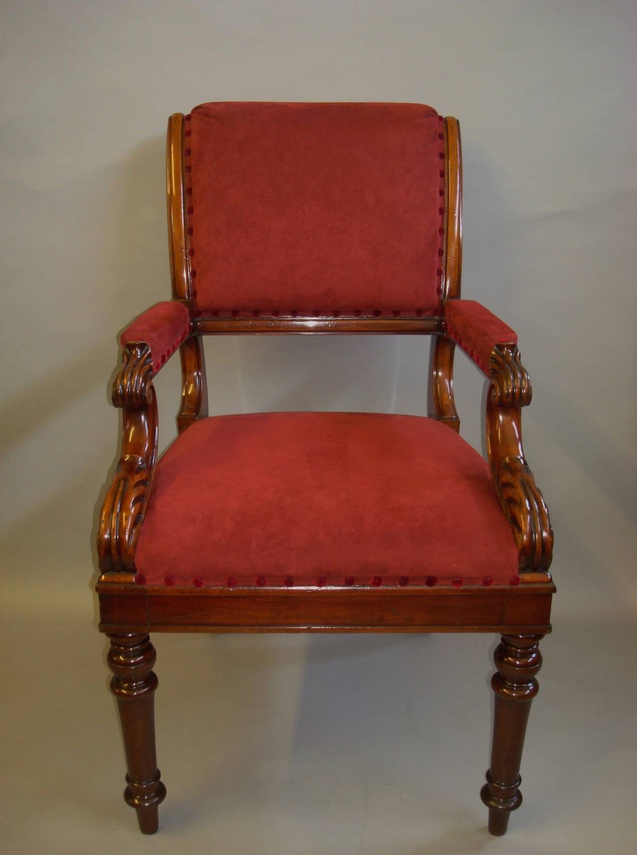 A George IV mahogany library chair of bold proportions, the padded scrolled back leading to padded arm rests supported on carved acanthus scrolls with scalloped terminals; the generous seat above a panelled frieze raised on turned tapering legs,