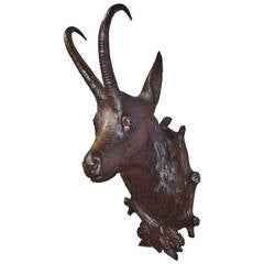 19th Century Black Forest Carved Chamois Head