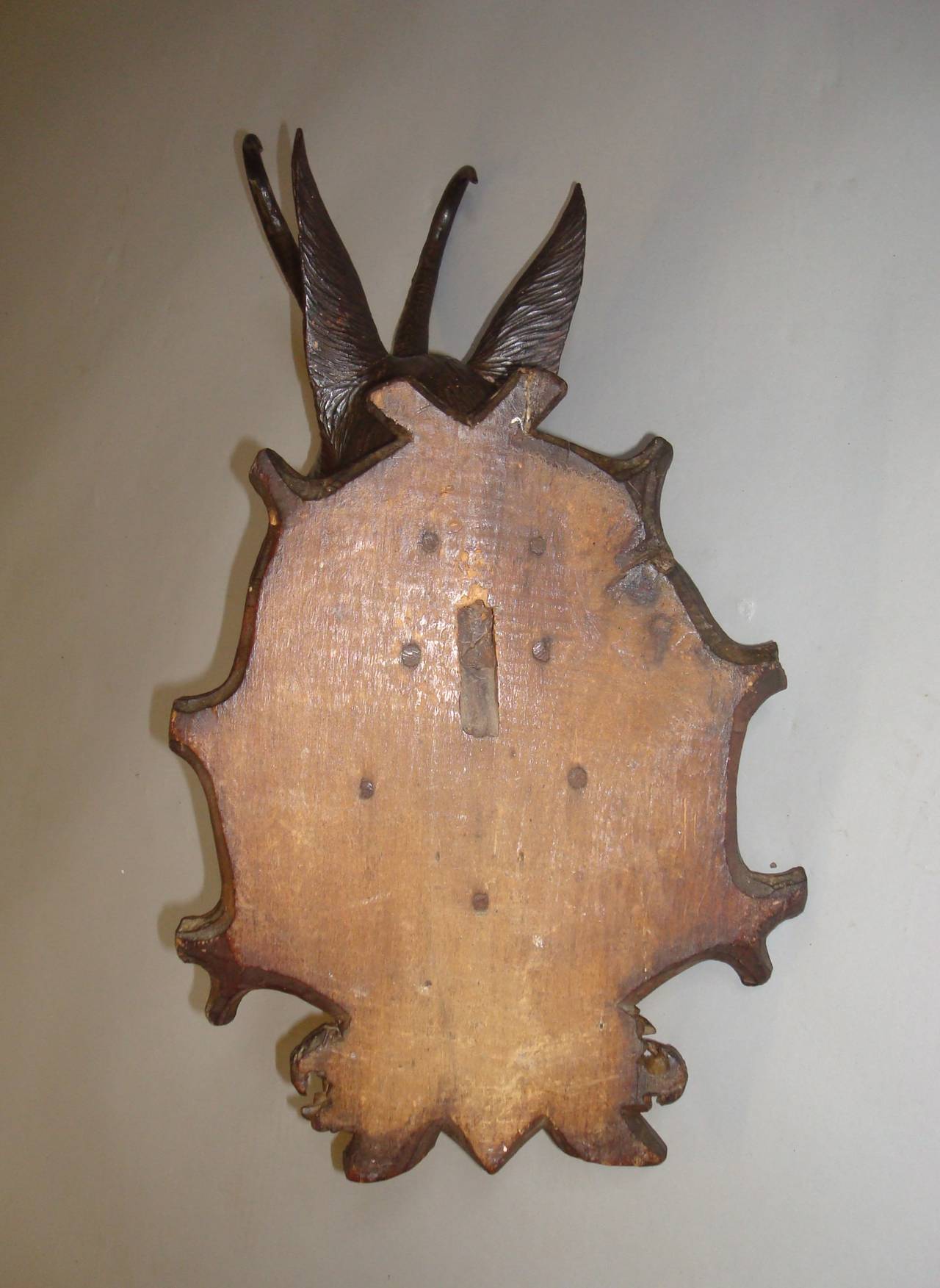19th Century Black Forest Carved Chamois Head 5