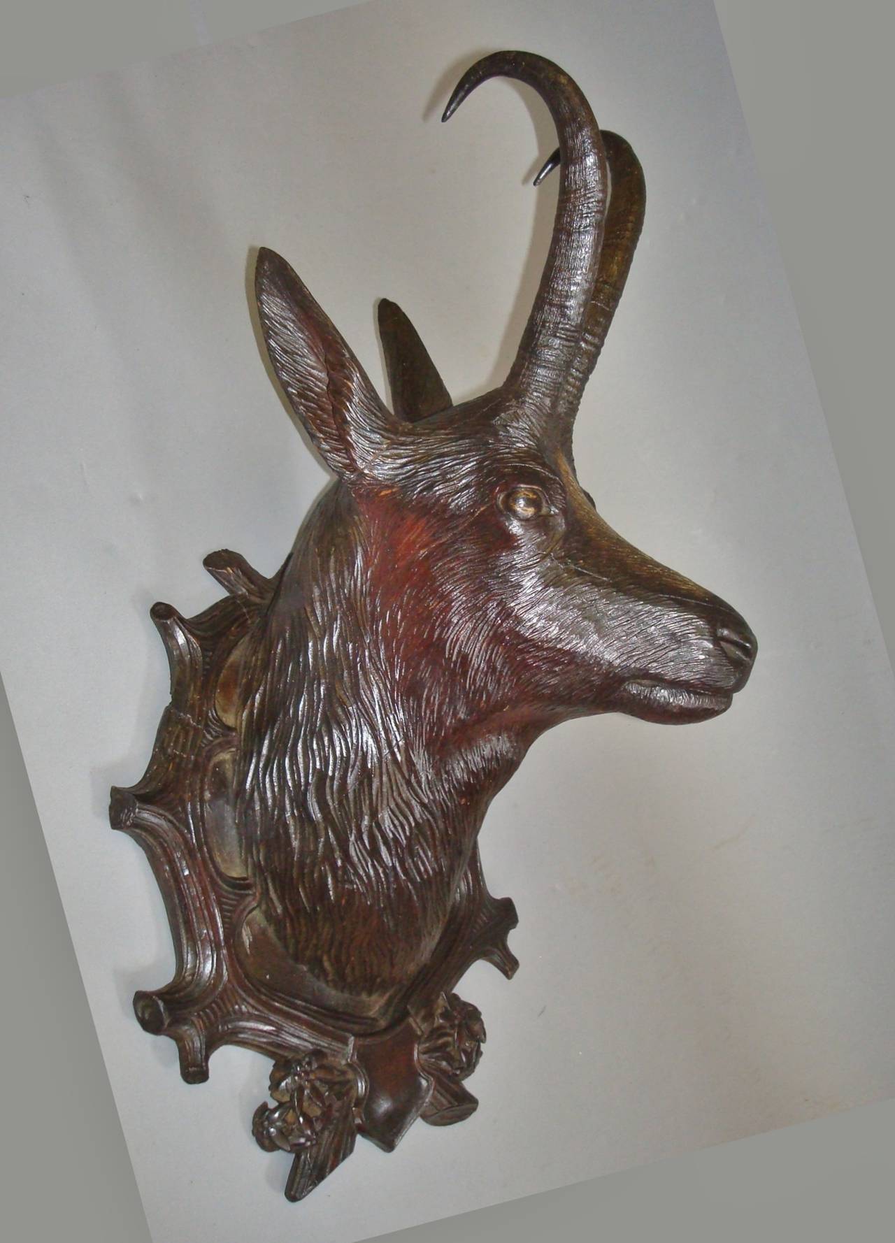 19th Century Black Forest Carved Chamois Head In Excellent Condition In Moreton-in-Marsh, Gloucestershire
