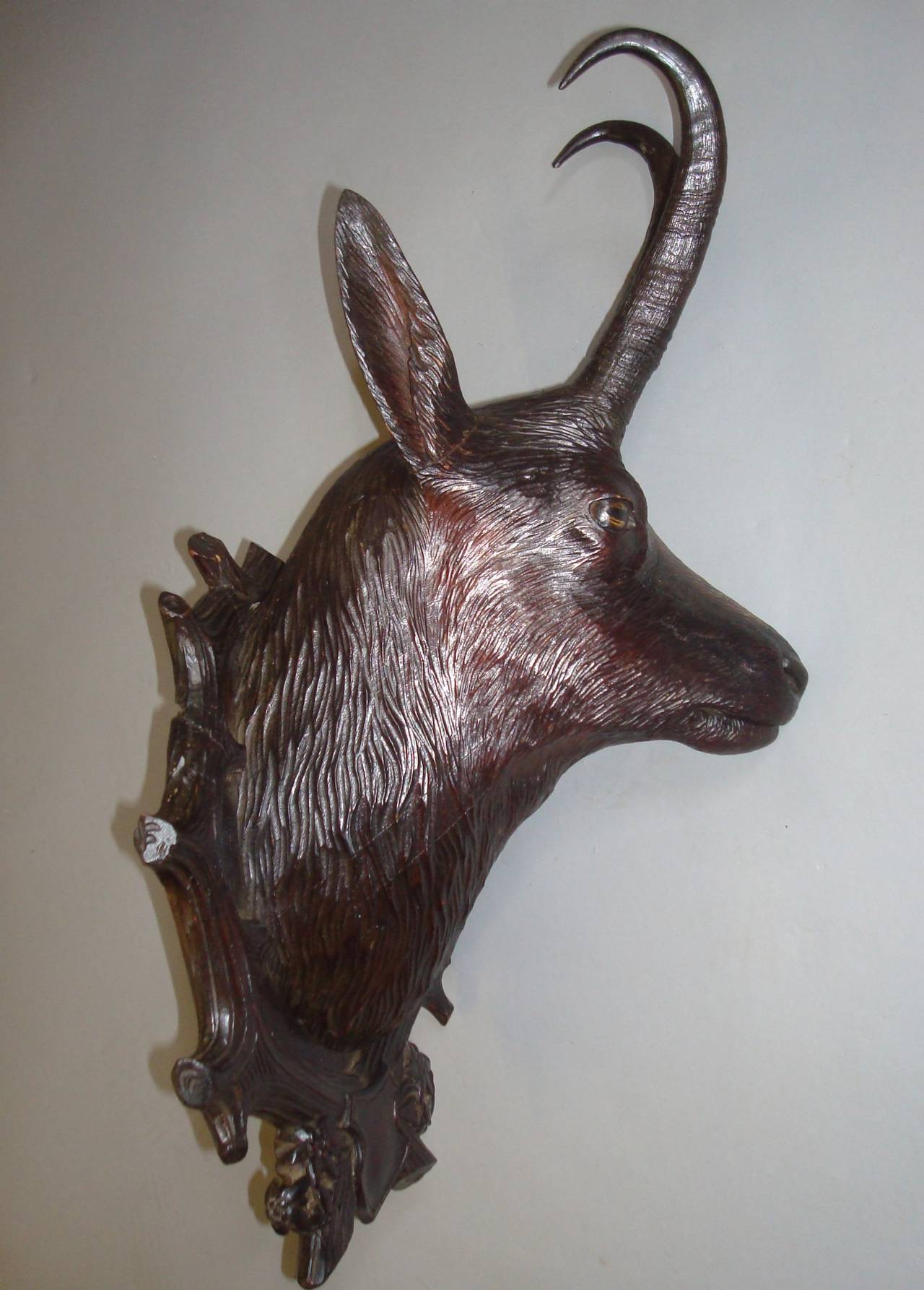 Wood 19th Century Black Forest Carved Chamois Head