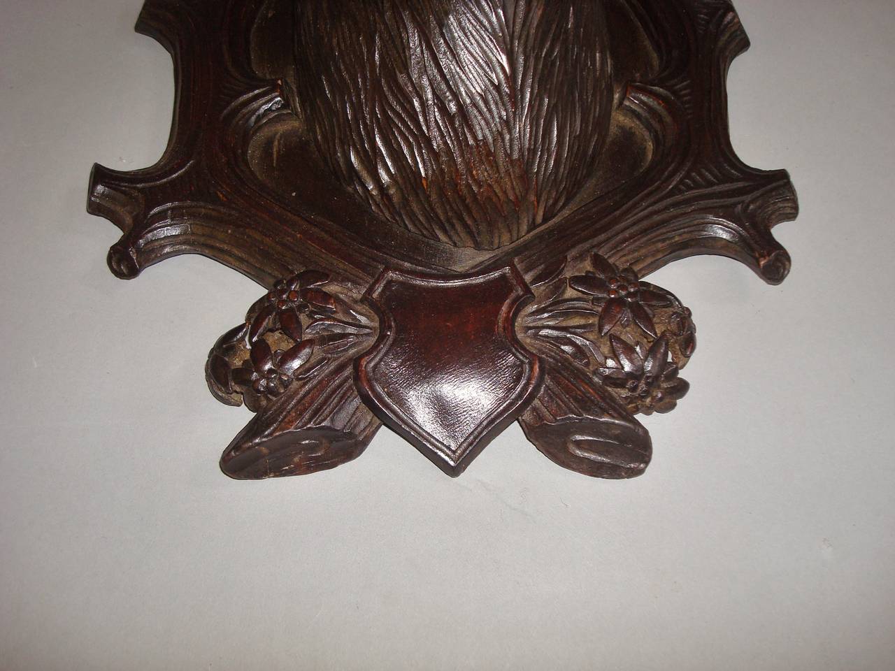 19th Century Black Forest Carved Chamois Head 3