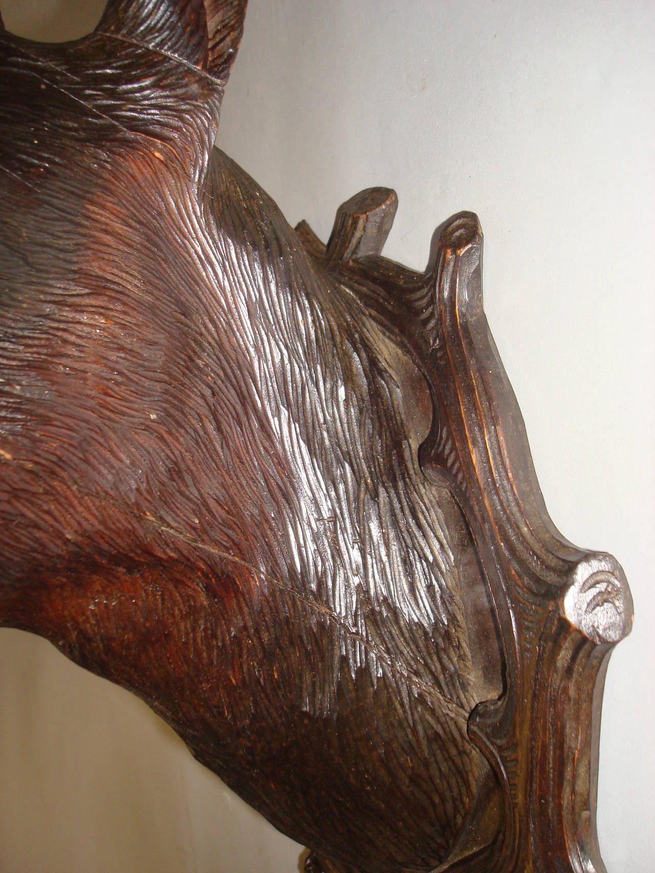 19th Century Black Forest Carved Chamois Head 4