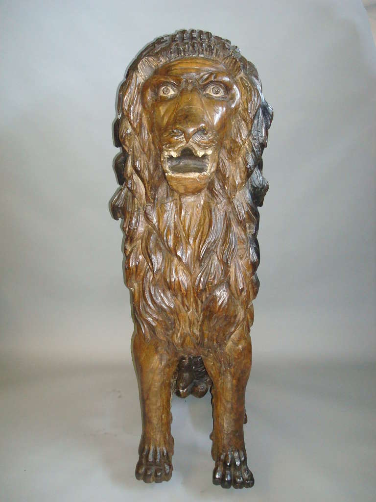 19th Century Spectacular Life-Size Carved Lion For Sale