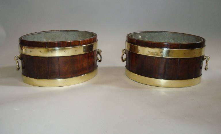 Rare pair of small George III mahogany oval wine coolers of coopered form, brass bound and with brass carrying handles to either side; and lift out metal liners.  Good colour and patination.