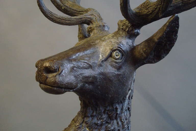 An Impressive 'life size' late C19th bronze stag, with 7 point antlers, standing proudly  on a naturalistic rock base.  This rare sculpture has been outside, and has a weathered patina.  His nose has a lovely patina where he has been rubbed